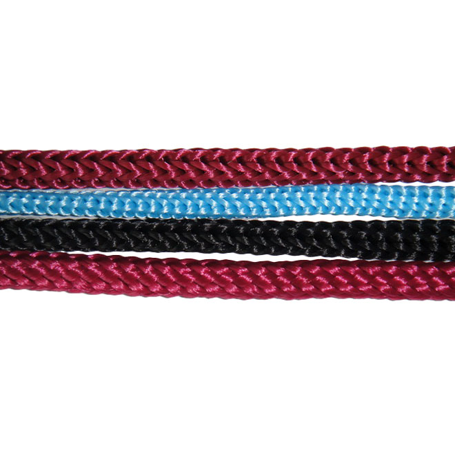 Pp craid spinalis